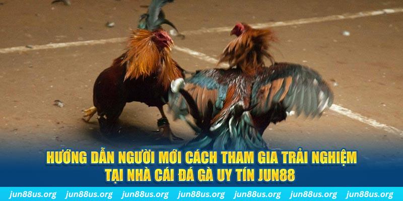 shbet99 CQ9 Điện Tử