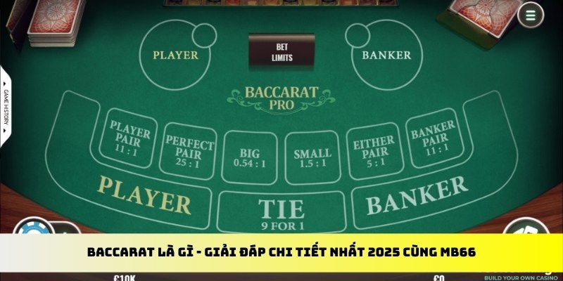 shbet99 gà chọi cu cần