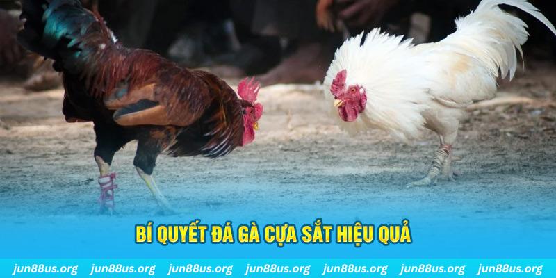 shbet99 xin 1 slot là gì