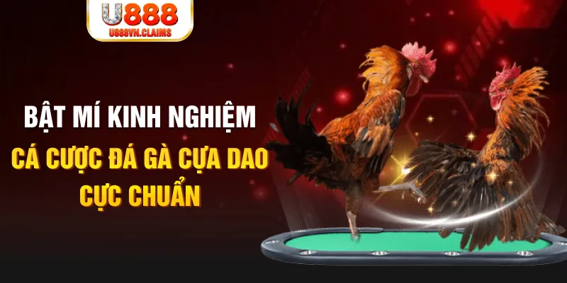 shbet99 tỷ lệ cá cược châu á là gì