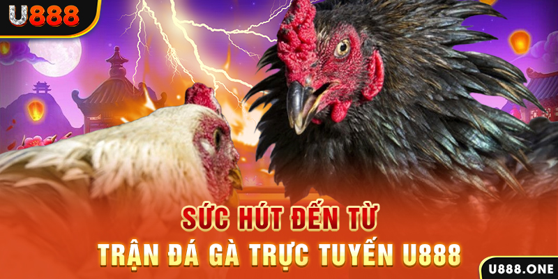 shbet99 nổ hũ b29 là gì