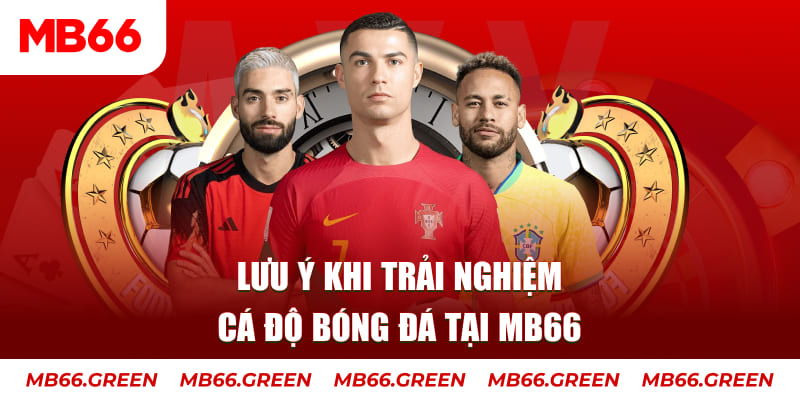 shbet99 cá cược là gì
