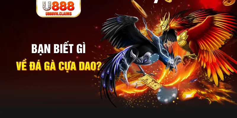 shbet99 nổ hủ là gì