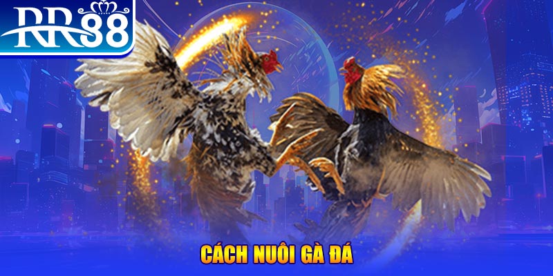 shbet99 xổ số an giang