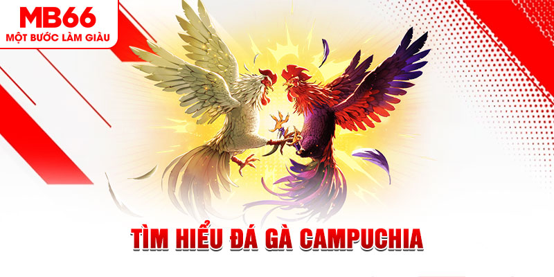 shbet99 game đánh bài trên máy tính