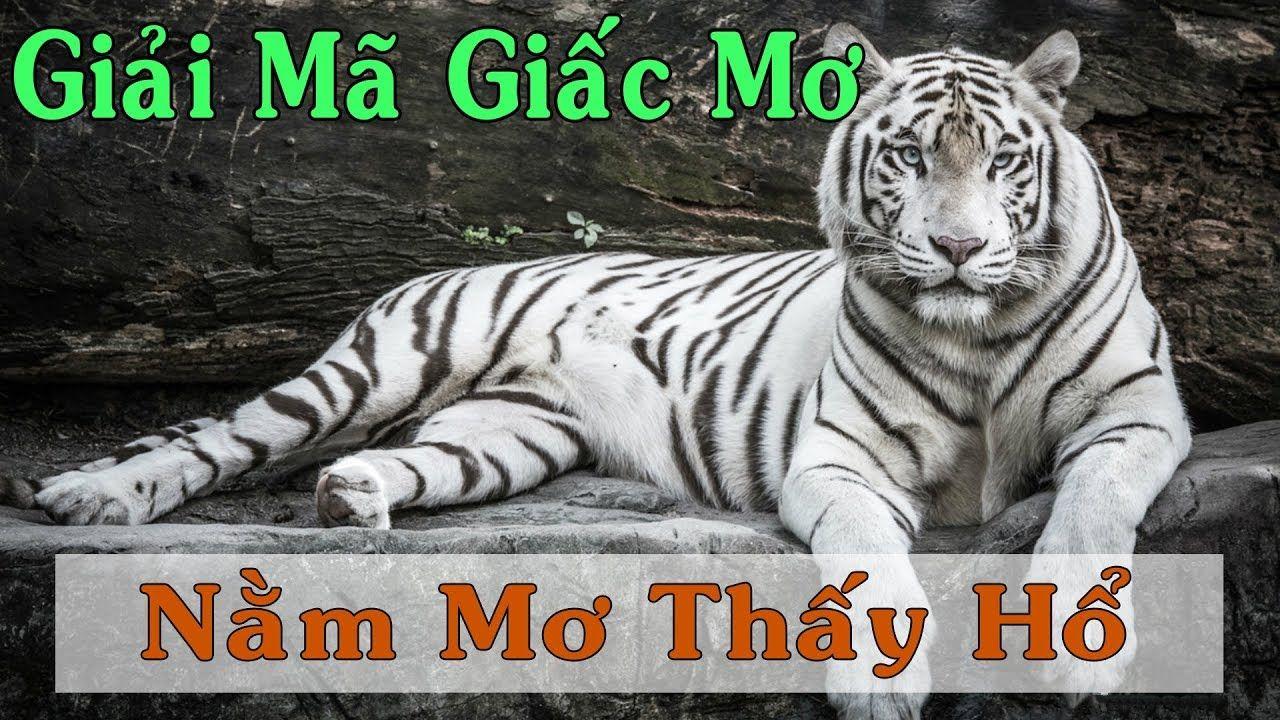 shbet99 WM Trực Tuyến