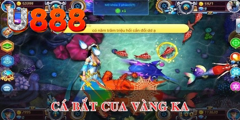 shbet99 kết quả xổ số hôm nay