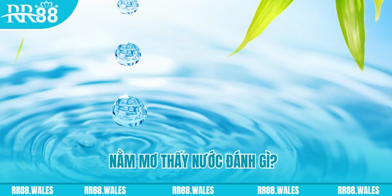 shbet99 TP Bắn cá