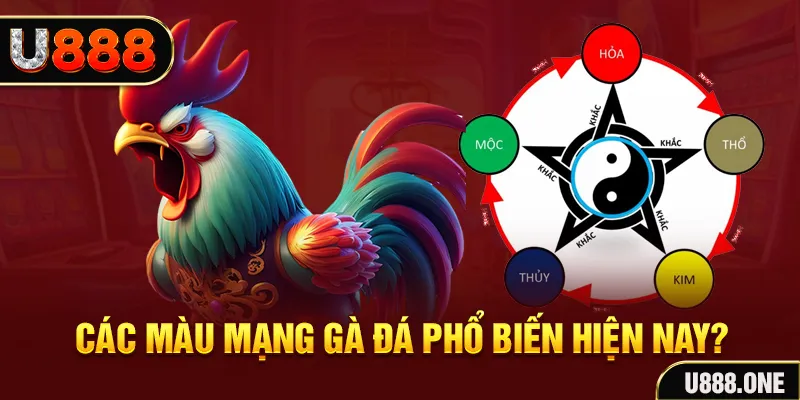 shbet99 trực tiếp đá gà 88