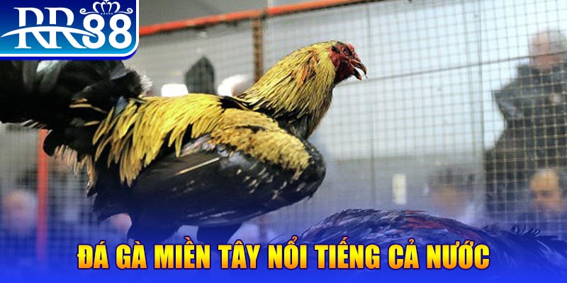 shbet99 JILI Game Bài 3d
