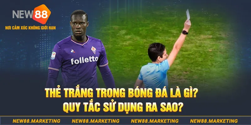 shbet99 gà chọi mộc hóa