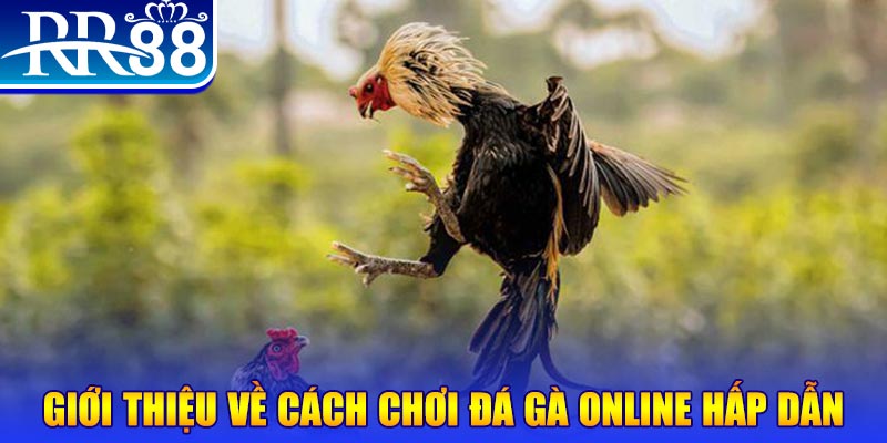 shbet99 game nổ hũ rút tiền mặt là gì