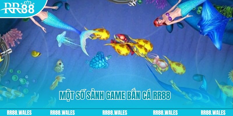 shbet99 đăng nhập mậu binh uy tín