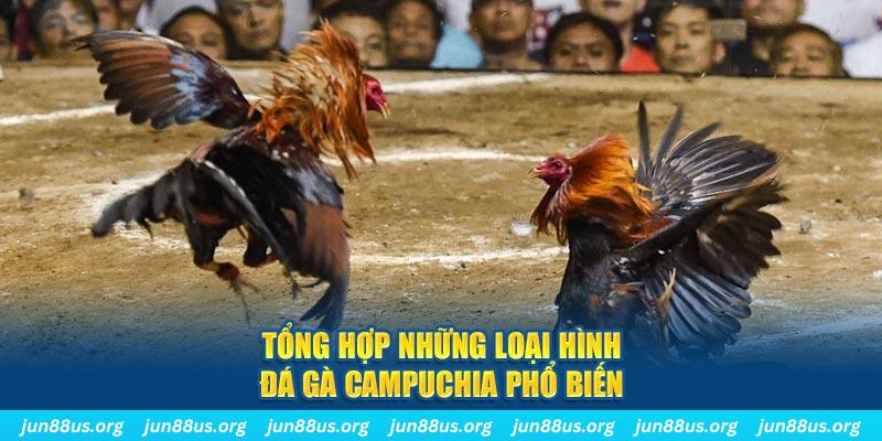 shbet99 đăng nhập nổ hũ 2024