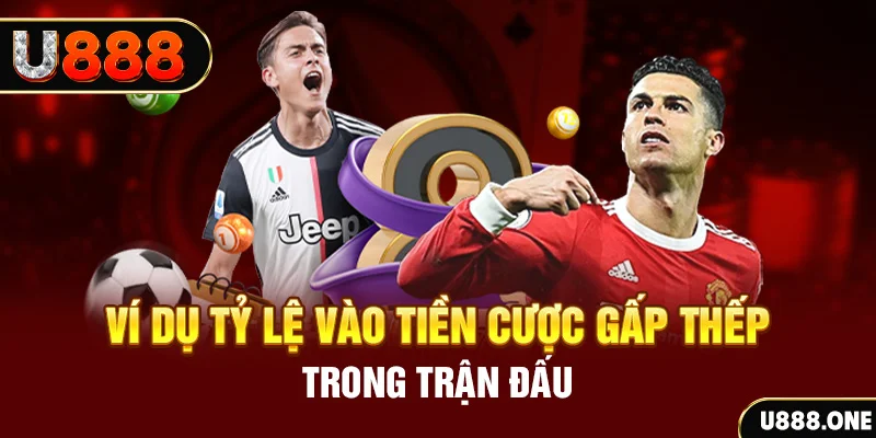 shbet99 kết quả xổ số 30 ngày