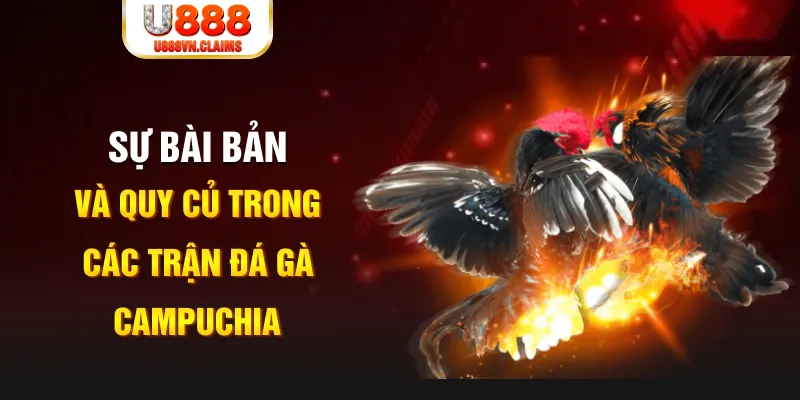 shbet99 YGR Điện Tử
