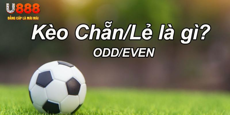 shbet99 đăng nhập poker hôm nay
