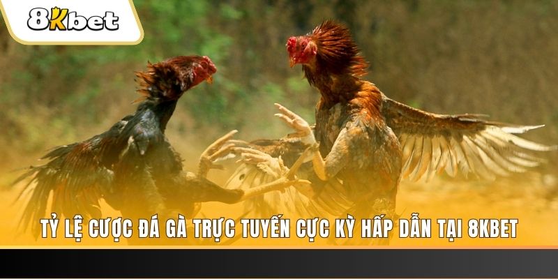 shbet99 xổ số trực tiếp miền bắc