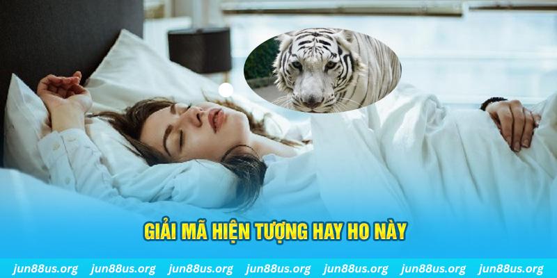 shbet99 đăng nhập nổ hũ uy tín