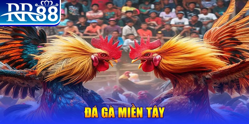shbet99 đăng nhập nổ hũ