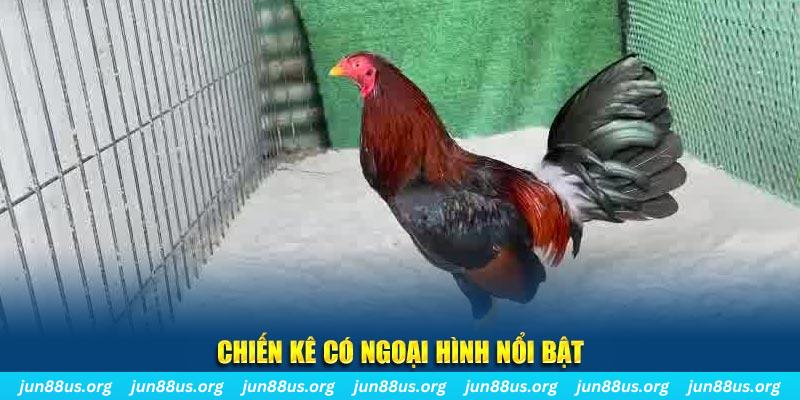 shbet99 chạy quảng cáo cho game bài bị phạt như thế nào