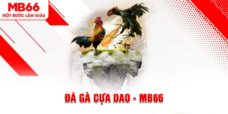 shbet99 đá gà sv388 gold