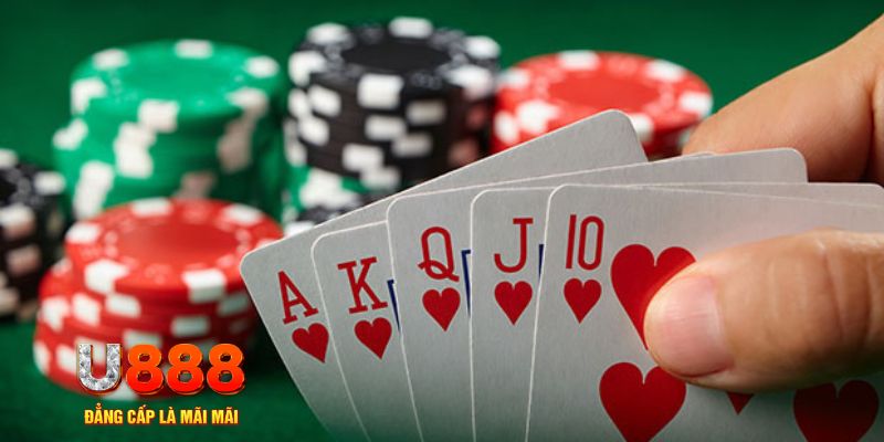 shbet99 đá gà trực tiếp thomo 67