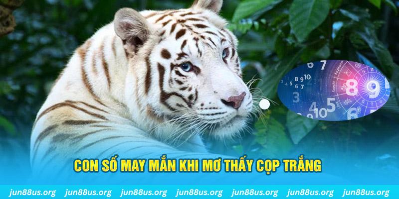 shbet99 đá gà trực tiếp 88